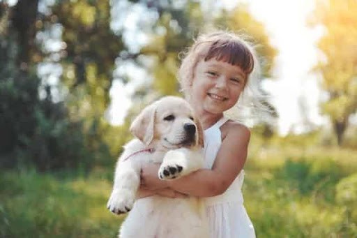 young girl holds cute puppy KHM Attorneys at Law Colorado Springs, Castle Rock