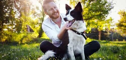 man sits next to pet dog at a park KHM Attorneys at Law Colorado Springs, Castle Rock