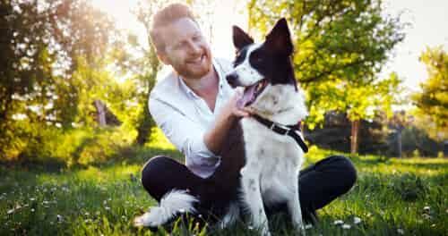 man sits next to pet dog at a park KHM Attorneys at Law Colorado Springs, Castle Rock
