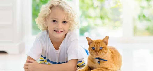 child poses for picture with orange tabby cat KHM Attorneys at Law Colorado Springs, Castle Rock