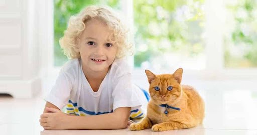 child poses for picture with orange tabby cat KHM Attorneys at Law Colorado Springs, Castle Rock