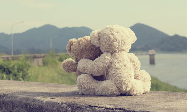 two teddy bears face each other on a ledge with water and mountains in background KHM Attorneys at Law Colorado Springs, Castle Rock