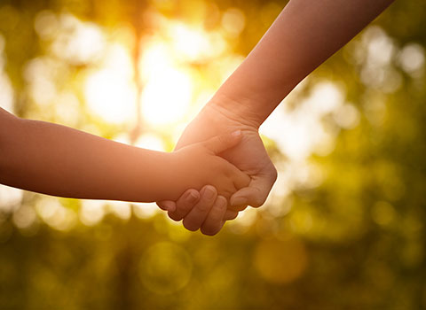 parent holds child's hand as light comes through the leaves of trees KHM Attorneys at Law Colorado Springs, Castle Rock