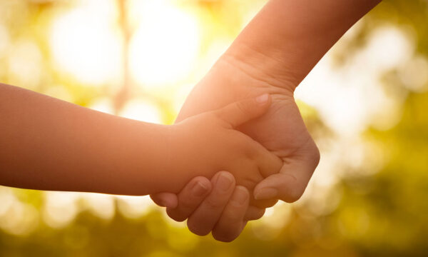 parent holds child's hand as light comes through the leaves of trees KHM Attorneys at Law Colorado Springs, Castle Rock